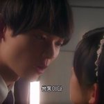 [댓글부탁해] 강아지 안고 다니는 사람 <b>관종</b>같아?