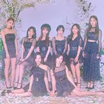 [드루와] 솔직히 러블리즈 노래