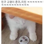[댓글부탁해] 얘들아 기계공학과 ㄹㅇ 취업깡패냐?