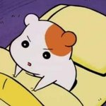 [댓글부탁해] <b>삐아</b> 꽃보다 시리즈