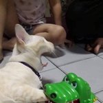 [<b>19</b>] +)어제새벽 ㅋㅅ<b>썰</b> 쓰닌데