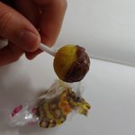 얘는 또 <b>비닐</b>냄새남