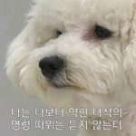 [EXO] <b>영자</b>ㅗ