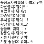 [드루와] 충청도 사람들 <b>대유잼</b>..