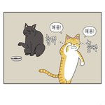[댓글부탁해] 나 패션고잔데 살려주라...ㅜㅜㅜㅜ