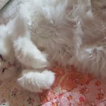 나의 주말 <b>순삭</b>...이유?