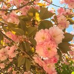 <b>미대</b> 나오면 뭘로 먹고사냐