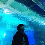 [댓글부탁해] <b>전학생</b>이 시험기간에 안오면 어떨거같음?