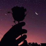 나 그냥 모든 <b>성별</b>을 좋아하는 거 같아