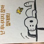 누피는 좋겠다..