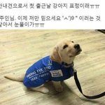 [댓글부탁해] <b>시험</b> 전 <b>날</b>에 밤새면 안돼?