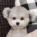 야들아 시험 잘봐
