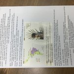 이거 학교가<b>기전</b>까지 다 외울수 있다/없다