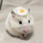 3일뒤에 <b>기하</b> 시험인데 벼락치기 오바야?