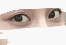 [드루와] 나 눈 개예쁘지 않냐 ㅎ희힇ㅎ