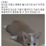 야 아직도 <b>반애</b>들이랑 못친해진애 있냐