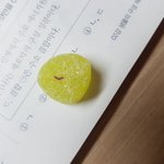 나 <b>젤리</b>먹다가 이상한거 나왛는데