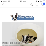 [드루와] 강아지집좀 봐주<b>세연</b>