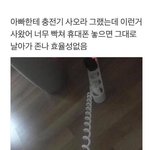 <b>진로</b>는 문과인데 성향은 이과인 사람있음?