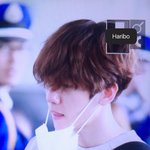 [EXO] 다람지들 한국<b>오네</b>