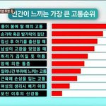 [드루와] 인간이 느끼는 고통 <b>순위</b>.jpg