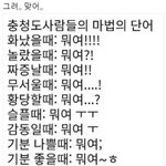 [댓글부탁해] <b>충청도</b> 사람들 마법의 단어.jpg