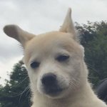 [댓글부탁해] 무<b>쌍들</b>아 너희 체대 때