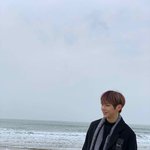 [강다니엘] 다니엘과 <b>바다</b>는?