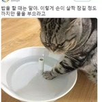 [드루와] 아싸 학교 안간다 ㅋㅋ