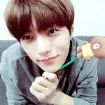 [드루와] <b>개안</b>요정 인피니트 엘 짤털이