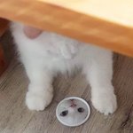 나 네시반에 못일어나면 <b>정준영</b> 콧털