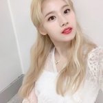 나는 <b>사나</b>가 왜 욕먹는지 모르겠다.