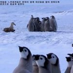 [댓글부탁해] <b>공부</b>못하는애 어떻게 <b>생각</b>해..?