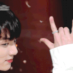 [방탄소년단] 머글인데 요새 정국이...