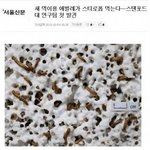 아 시 이거 개웃기네ㅋㅋㅋㅎㅎㅋㅎㅋㅎㅋㅎㅋㅎ