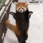 [댓글부탁해] 재결합 어떻게 생각해?ㅠ