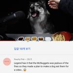 [댓글부탁해] 강아지도 감자스틱먹어도 됨??