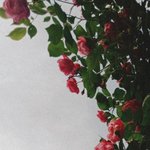 이런거 폰 배경<b>화면</b>인 애들 어땡