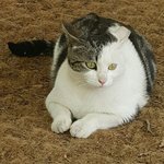 [댓글부탁해] 단기<b>알</b>바 구해준<b>사람</b> 돈 줄게