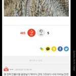 [댓글부탁해] 너네 좋아요 가장 많이 받은거 뭐냐