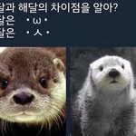 [19] 다들 자위 걸리면 어떻게 하냐 ㅆㅂ