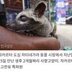 아니 이게 어째서 고양이임?