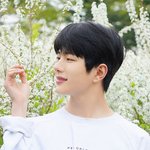 골든차일드 개인 컨셉포토