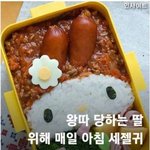 [댓글부탁해] 왕따 당하는 딸을 위해 만든 도시락.<b>jpg</b>