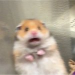 [<b>BL</b>] 벨툰추천좀