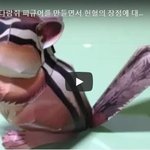 종이 다람쥐 피규어를 만들면서 <b>헌혈</b>의 장점에 대해 이야기 해보자!