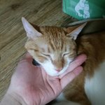 [드루와] 향수 골라주면 짝남이랑 썸타고 내일 화장 개잘먹음