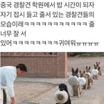 [댓글부탁해] 와 근데 판 분위기 많이 날카롭긴 <b>하다</b>