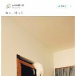 [댓글부탁해] 당근값 액젓값 기타 양념값
