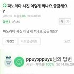 [댓글부탁해] 고민이 있어. 내 친구가..